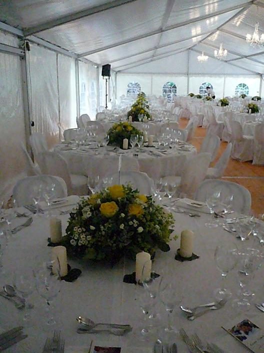 Partyzelt 10m breit: Hochzeit in der Höhlmühle 2009 (9)